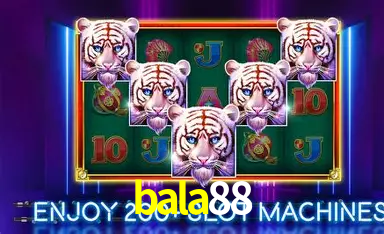 Dr. Ricardo Silva - Especialista em Live Casino